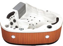 СПА-бассейн SKT335B